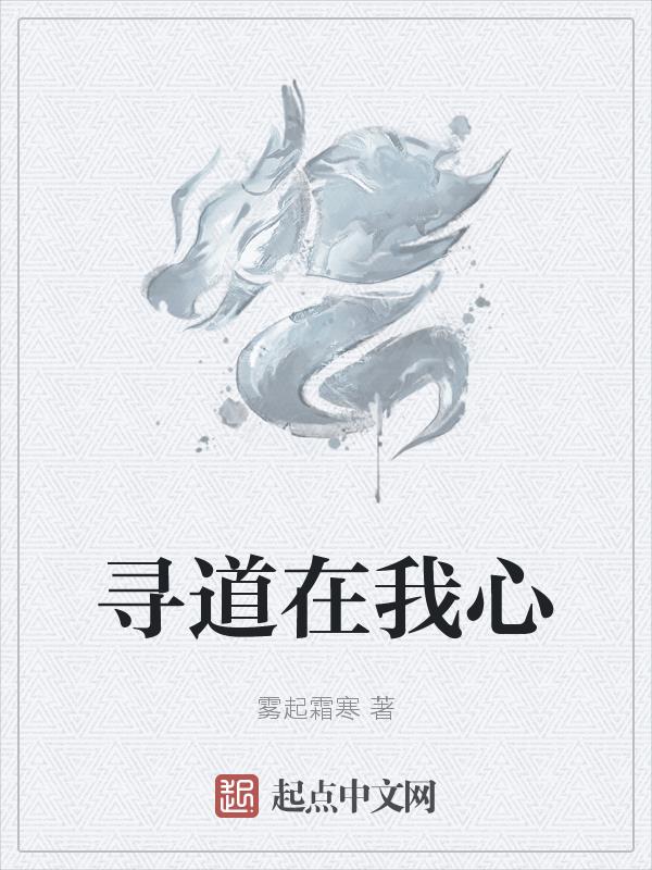 寻道科技怎么样